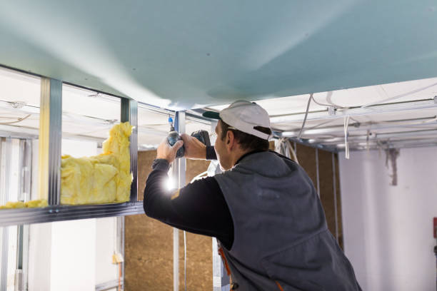 Best Eco-Friendly Insulation in Gretna, VA