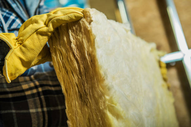 Best Cellulose Insulation in Gretna, VA